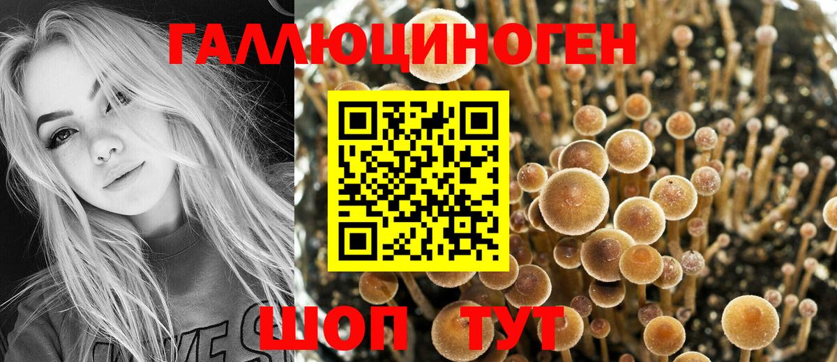 Кропоткин  Галлюциногенные грибы Magic Shrooms  Вход с VPN 